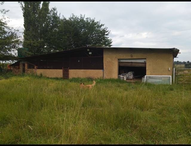 8.80HA FARM FOR SALE IN MAGALIESBURG